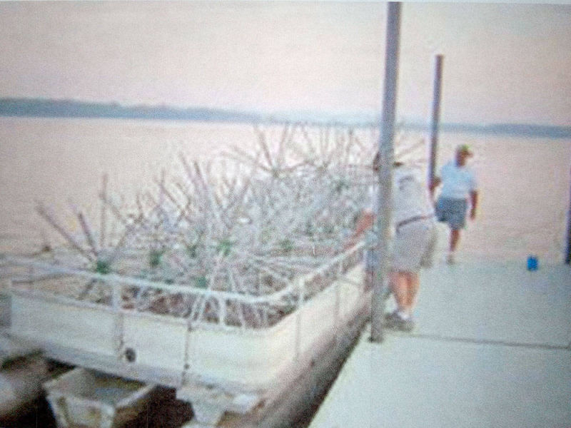 Anglers Unlimited Association | Porcupine Fish Attractors Loaded On Barge