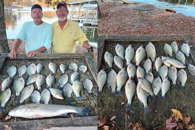 Lake Weiss Crappie Fishing Report | November 2023